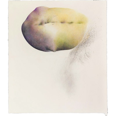 Chayote, Cycles I, 48" x 42", mixed media on sanded paper, 2009