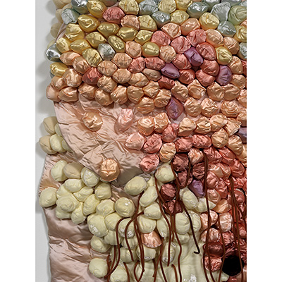 Untitled (detail), 1972, 
84"x50"x12", Hand sewn wool, satin and velvet with surgical tubing, stuffed with fiberfill